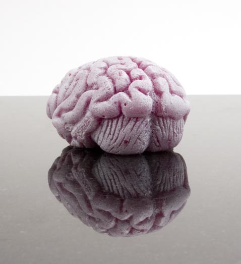 squishy brain toy